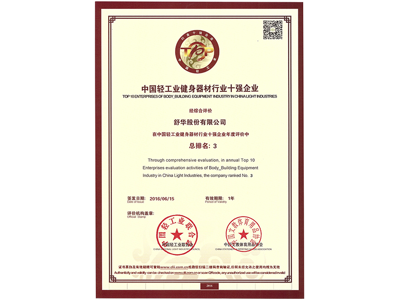 2015年中国轻工业健身器材行业十强企业.png