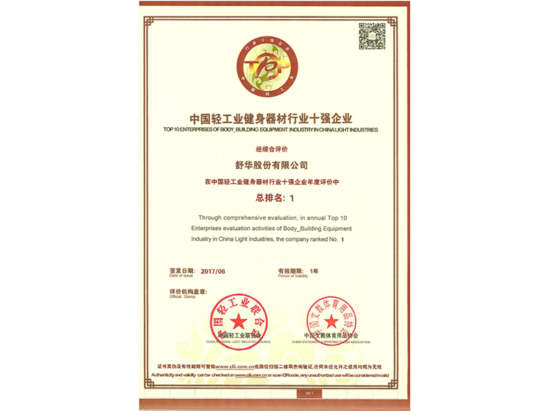 2016年中国轻工业健身器材行业十强企业.png